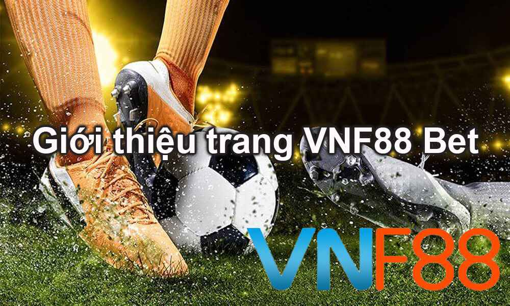 Tại sao bạn muốn tham gia một cuộc thi cấp độ Kuwin? - Kuwin