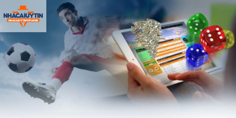 Asia99 cung cấp những dịch vụ độc đáo nào? - Asia99