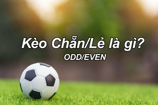 Tập đoàn Ke68 – Thương hiệu này có nguồn gốc từ đâu? - Ke68