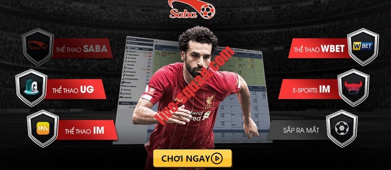 Ứng dụng Loto188: Hướng dẫn nâng cao về tìm kiếm cạnh tranh - Loto188