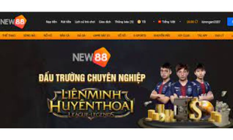 Cá cược không giới hạn 8Kbet - 8Kbet