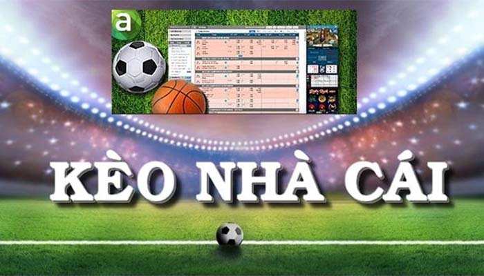 Những diễn biến mới nhất của giải đấu thể thao cấp Ce88 là gì? - Ce88