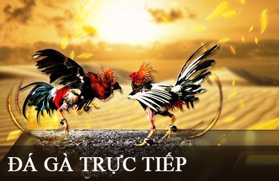 Các chương trình khuyến mãi mới nhất trên trang web Win23 Games - Win23