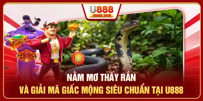 Hướng dẫn và tiêu chuẩn cá cược của Vt999 - Vt999