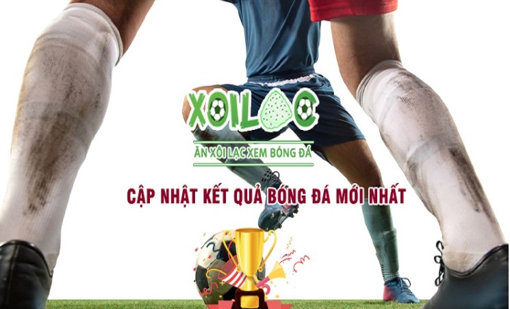 V9bet có thể làm gì? - V9bet