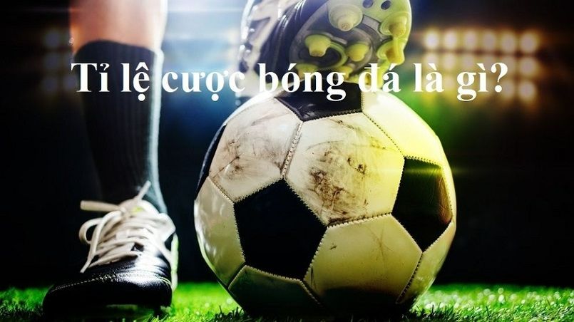 Sòng cá cược nổi tiếng nhất của Caxeng Gaming - Caxeng