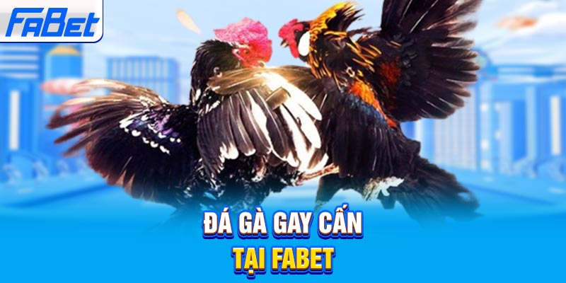 Uy tín và sự an toàn của công ty game G6bet - G6bet