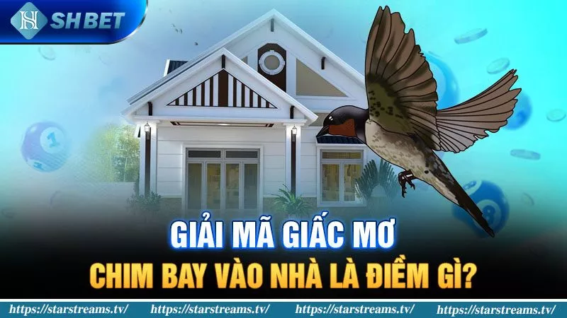 Ưu điểm của dịch vụ Sv368 - Sv368