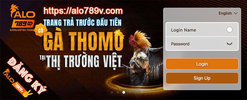 Liệu 789Win có được hợp pháp hóa tại Việt Nam vào năm 2026? - 789Win